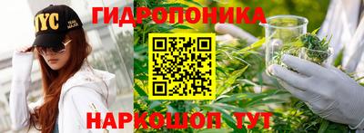 прущие грибы Бузулук