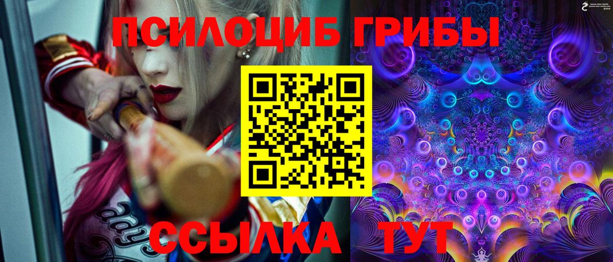 Галлюциногенные грибы GOLDEN TEACHER Самара